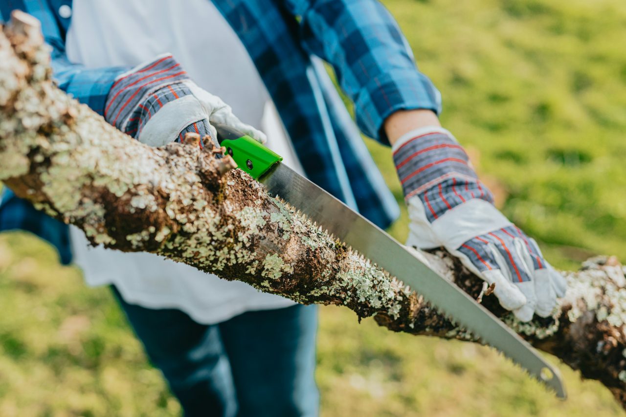 Eine Person, die einen Baum mit einer mit einer Säge zerschneidet.